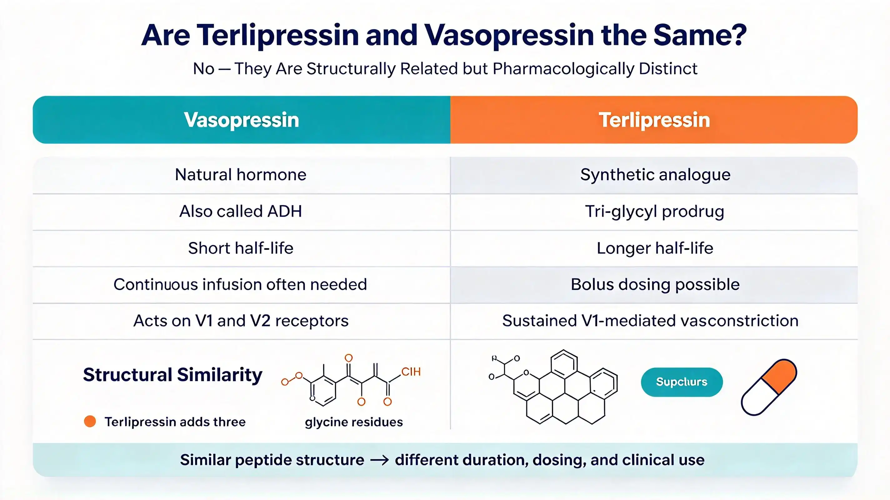 Are terlipressin and vasopressin the same? Are terlipressin and vasopressin the same?